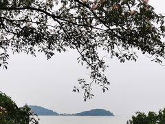 -上海市保健医疗中心