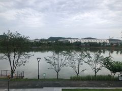 -羊山湖公园