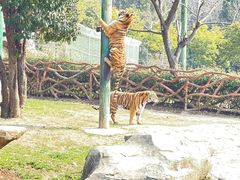 -常州淹城野生动物世界