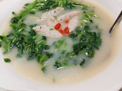 -点都德·毕德寮