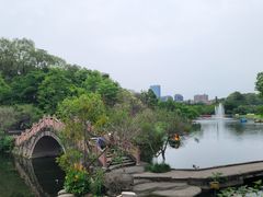 -桂湖森林公园