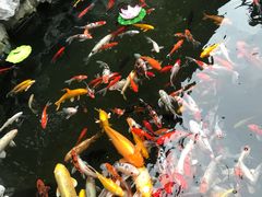 -西林禅寺