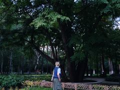 -黑龙江省森林植物园