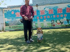 -宠物寄养训练学校