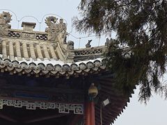 -药王庙(安国市)