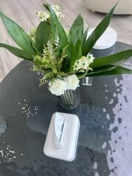 -HEYAN荷妍专业脱毛连锁机构