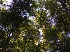 景点-宝岩生态观光园