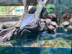 -海合安成都极地海洋公园