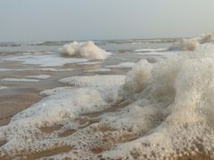 -日照海滨国家森林公园