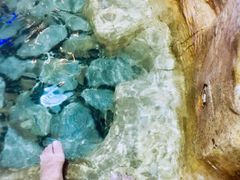 -中家鑫园温泉酒店鑫悦汤泉