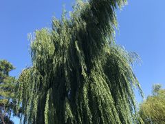 -长春市南湖公园