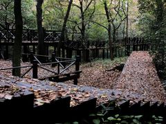 -宝岩生态观光园