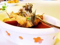 古法蒸龙趸鱼-香然会·园林雅宴(陆家嘴店)