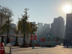 -海合安成都极地海洋公园