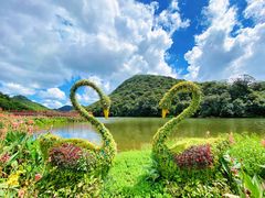 -广州市石门国家森林公园