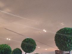 -王府半岛酒店·大堂茶座