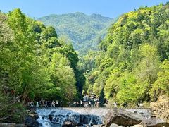 -石台牯牛降景区