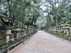 -奈良公园