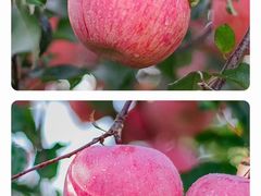 -江杨农产品批发市场