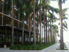 android_upload_pic-三亚亚龙湾红树林度假酒店