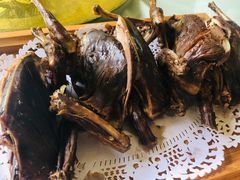 -食家鸽园