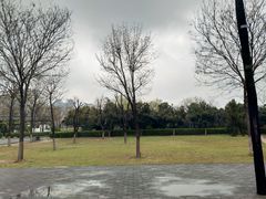 -西安青龙寺遗址景区
