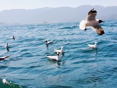 -丽江泸沽湖景区