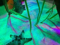 -沈阳海洋探索中心