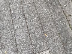 -杨记隆府(南坪店)