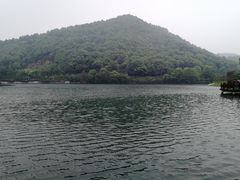 -桃花岭景区