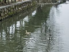 -黟县屏山村