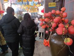 -劈柴院