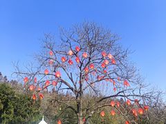 -万佛湖风景区