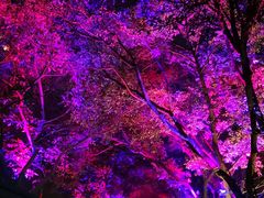 -黄桷坪涂鸦艺术街