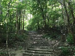 -龙道沟景区