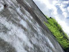 -杨招娣糕点(装驾桥巷店)
