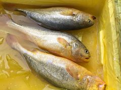 -江杨农产品批发市场