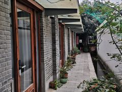 -两棵枇杷树