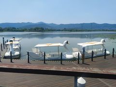 -长田漾湿地公园