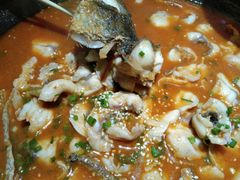 番茄鱼-猫姑娘大盘鸡(商城路店)