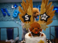 -百好乐宠物友好餐厅(朝外大街店)