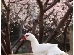 -三里河公园