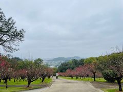 -广州莲花山旅游区
