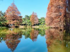 -中国科学院华南植物园