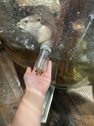 -Zoolung Zoolung动物主题公园(海信广场店)