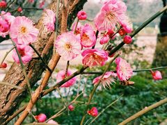 -重庆彩云湖湿地公园