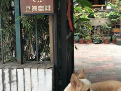 -豆舞咖啡(民乐路店)