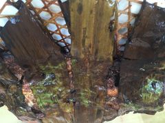 老丁头麻辣烫(站前大街店)-百福老头餐饮