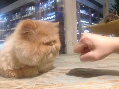 -小时光咖啡馆(开森度假森林店)