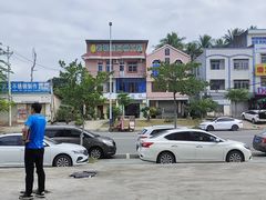 -15年老字号鑫鑫猪肚鸡·椰子鸡海南火锅(兴隆华侨农场店)